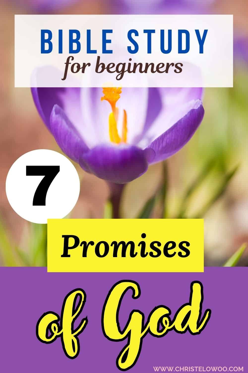 Free Printable Of Promises Of God In The Bible Christel Owoo