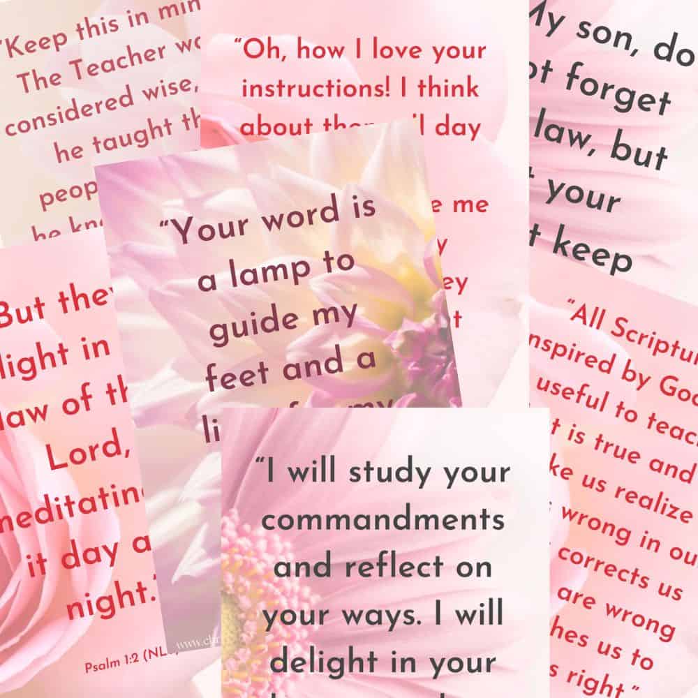 2014-yearly-bible-study-guide-january-free-printable-download